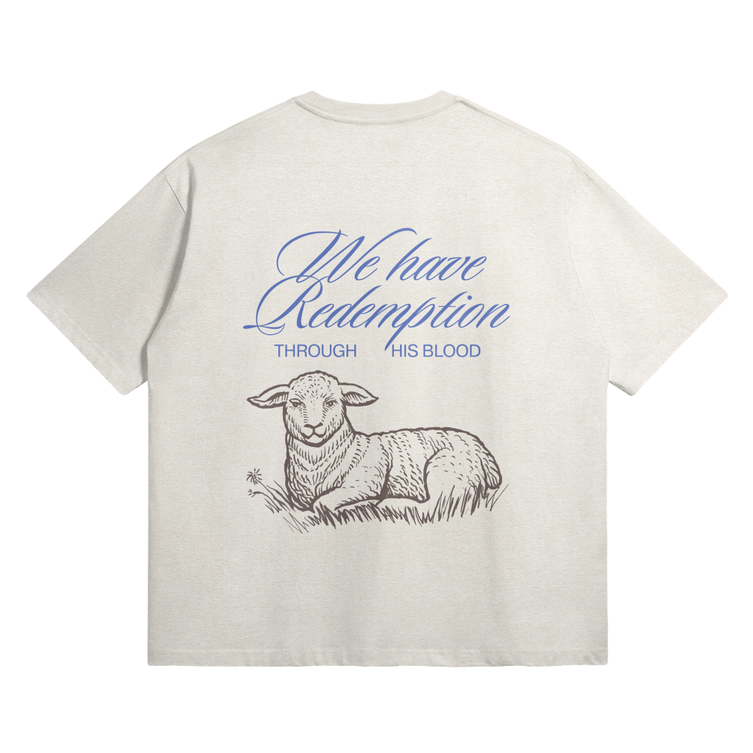 HYPE4HOLY REDEMPTION OVERSIZED T-SHIRT | ash color, flat, back side